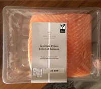 Scottish prime fillet of salmon