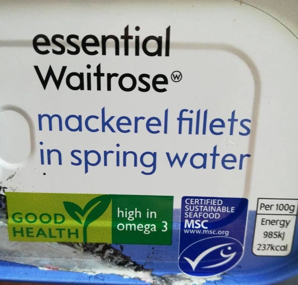 Mackerel fillets in spring water