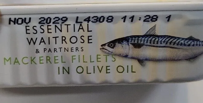 Mackerel fillets in olive oil