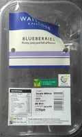 Blueberries