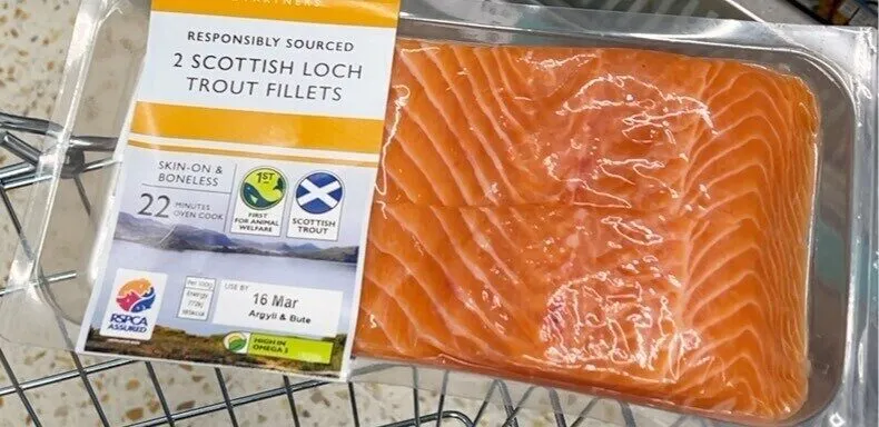 Scottish Loch Fillets