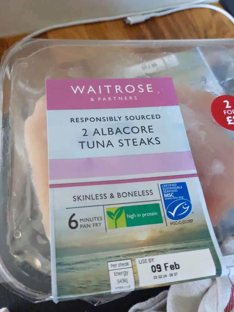 albacore tuna steaks