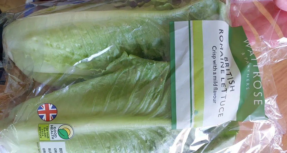 British Romaine Lettuce