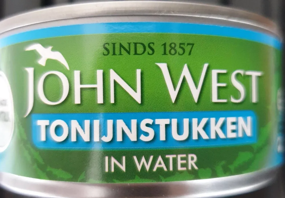 Tonijnstukken In Water