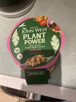 John West Plant Power