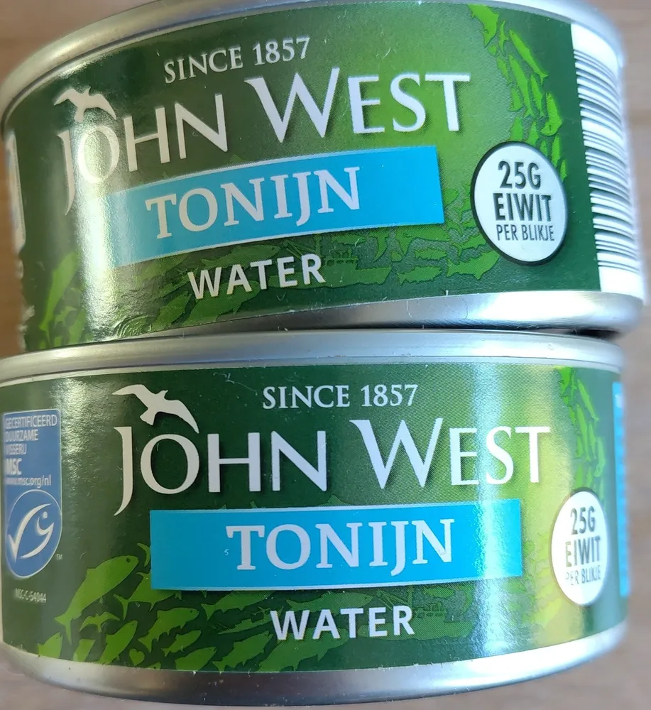 Tonijnstukken In Water