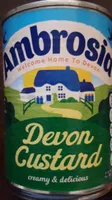 Devon  custard