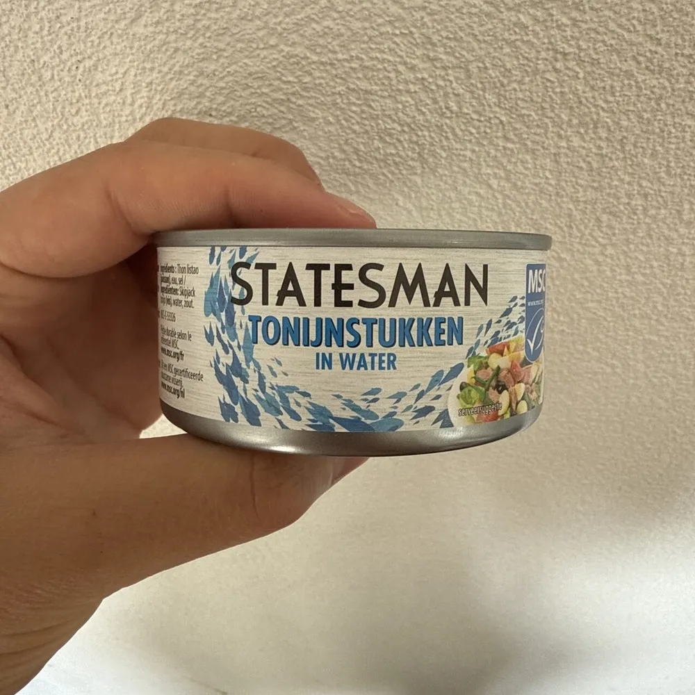 Tonijn In Water
