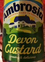 Devon Custard