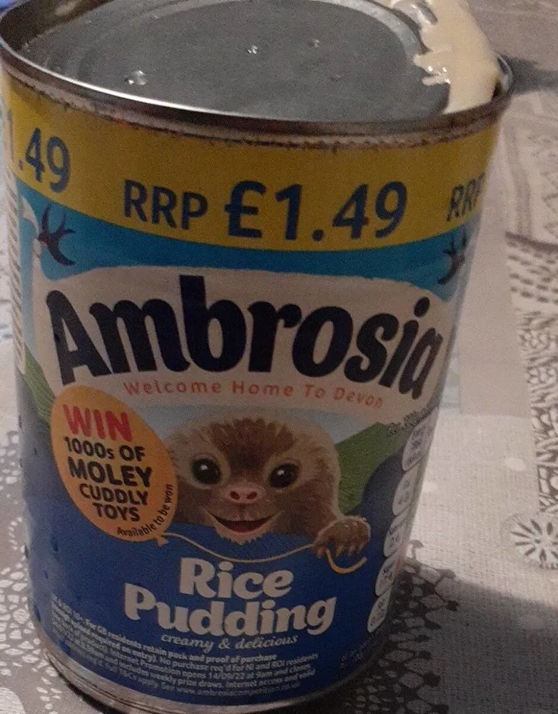 Rice pudding