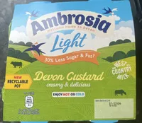 Light Devon Custard