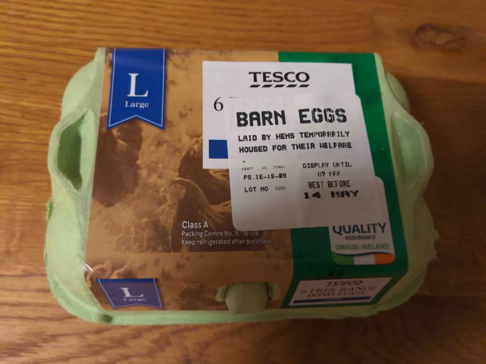 Large Eggs