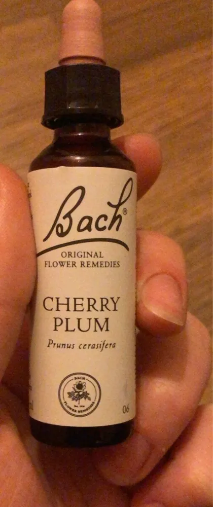 Cherry plum