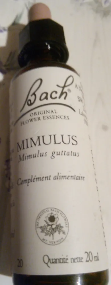 Mimulus