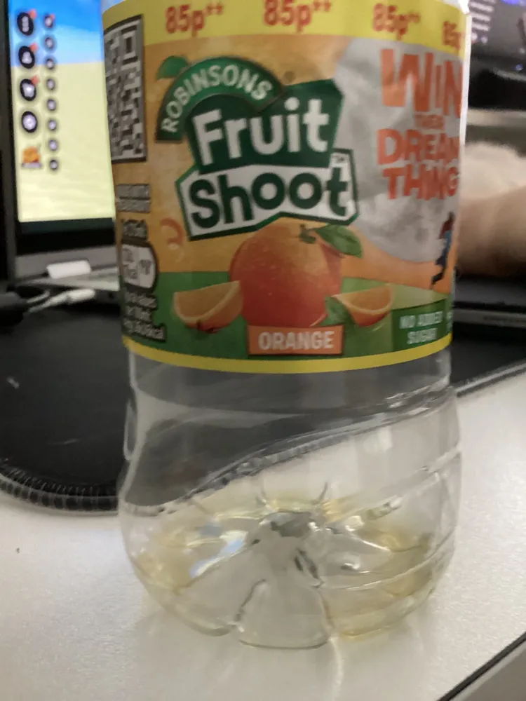 Fruit Shoot Orange