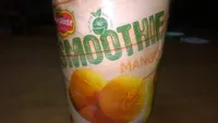 Sorbetto al Mango Smoothie Mango