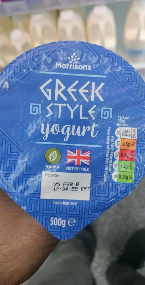 Greek Style Yogurt