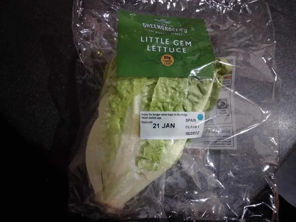 Little Gem Lettuce