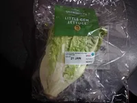 Little Gem Lettuce
