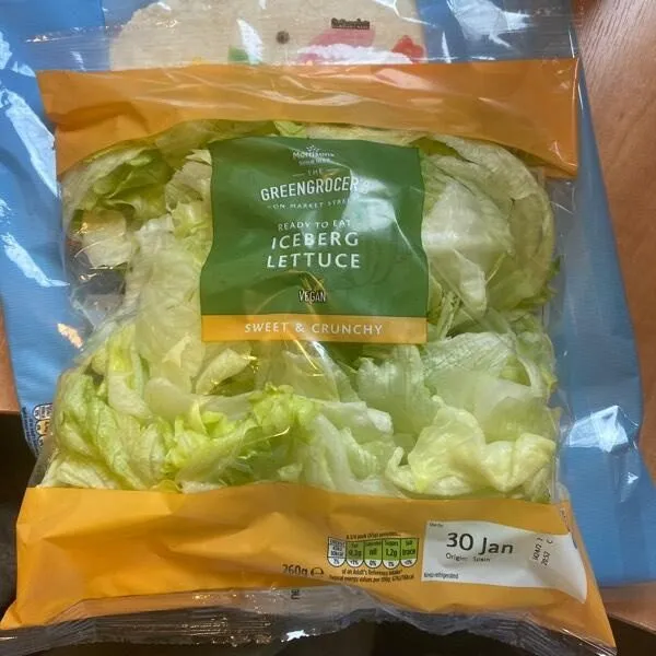 Iceberg lettuce