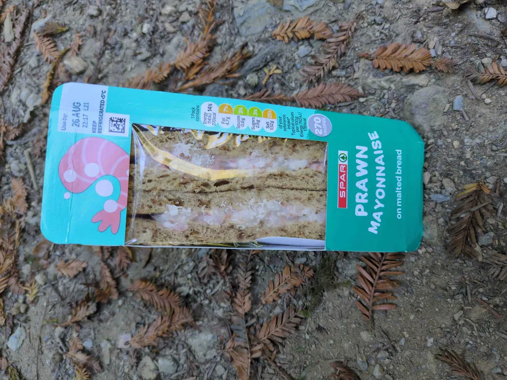 Prawn Mayonnaise on malted bread