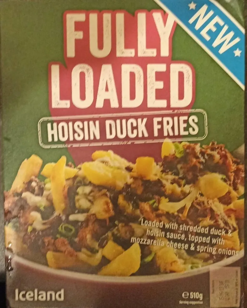 Fully Loaded Hoisin Duck Fries