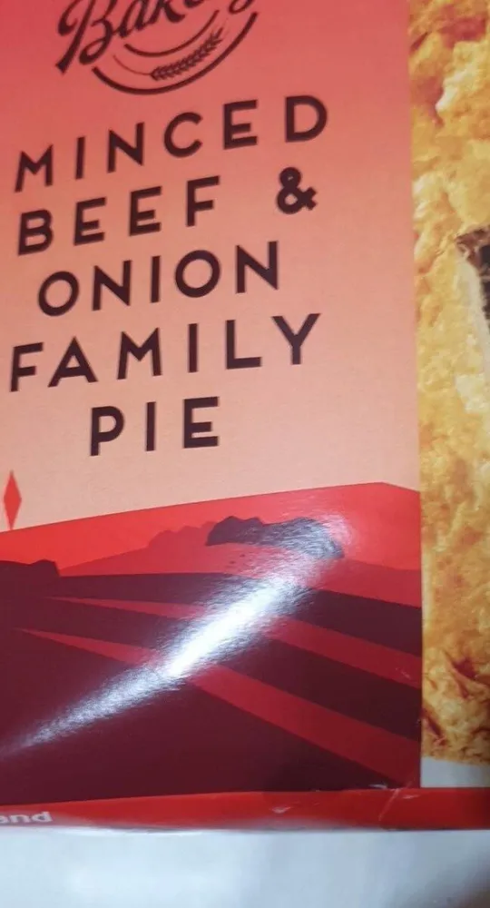 Minced beef and onion pie