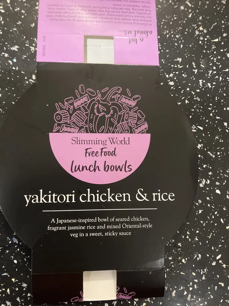 Yakitori chicken and rice