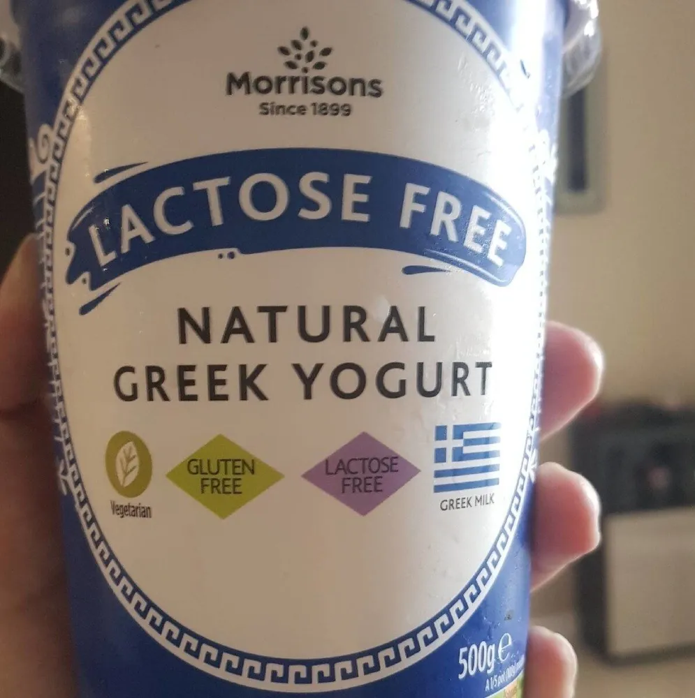 Lactose Free Greek Yogurt