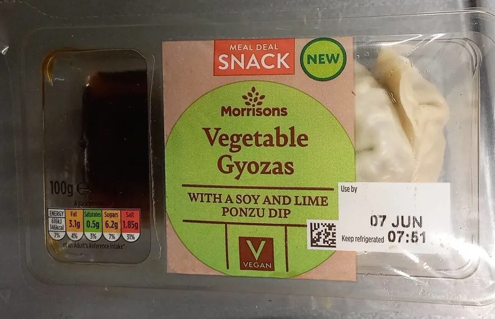 Vegetable Gyoza
