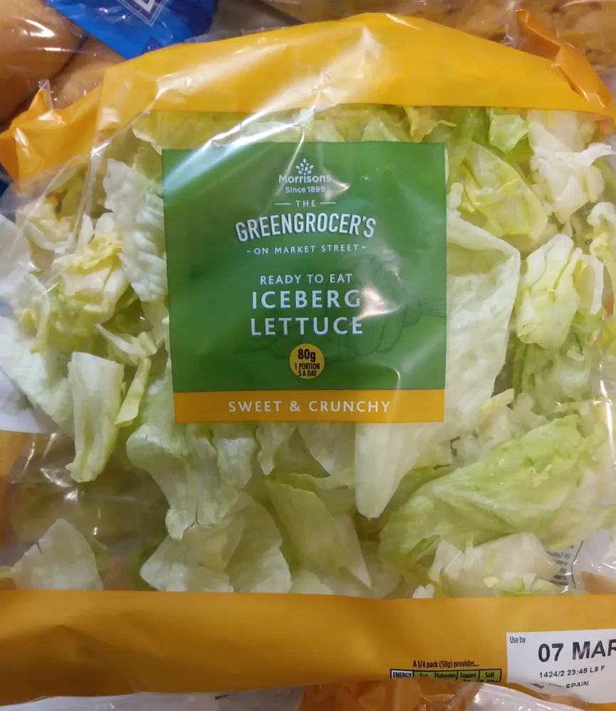 Iceberg Lettuce