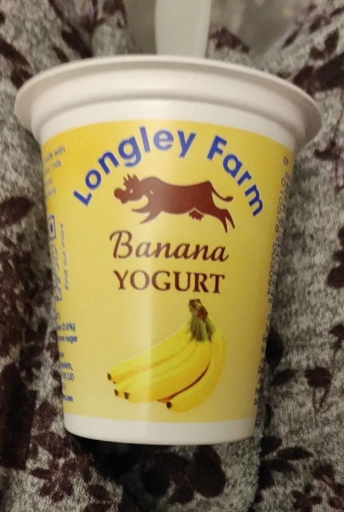 yoghurt