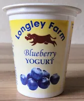 Blueberry Yogurt