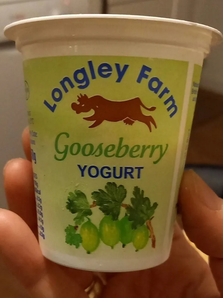 Gooseberry yoghurt