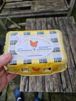 Fresh Free Range Eggs Large