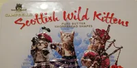 Scottish wild kittens