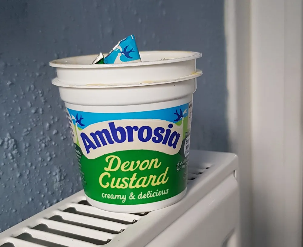 Devon Custard
