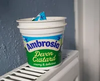 Devon Custard