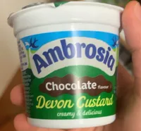 Chocolate Flavour Custard