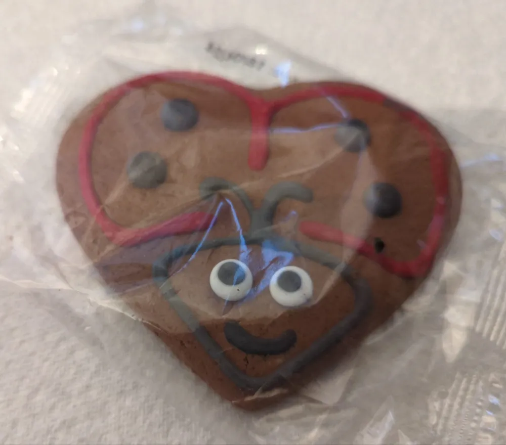 Chocolate Shortcake Ladybird Biscuit