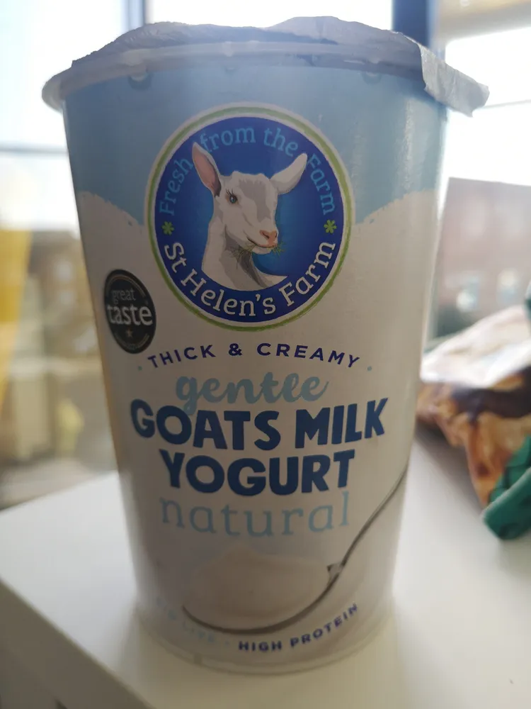 Goats milk yoghurt