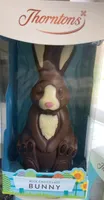 Milk Chocolate Bunny