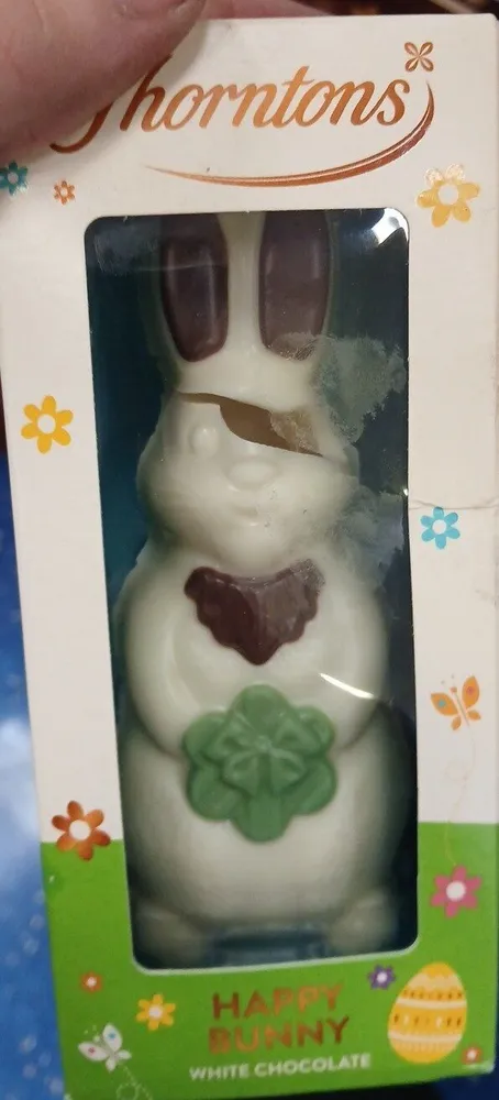 Chocolate Bunny