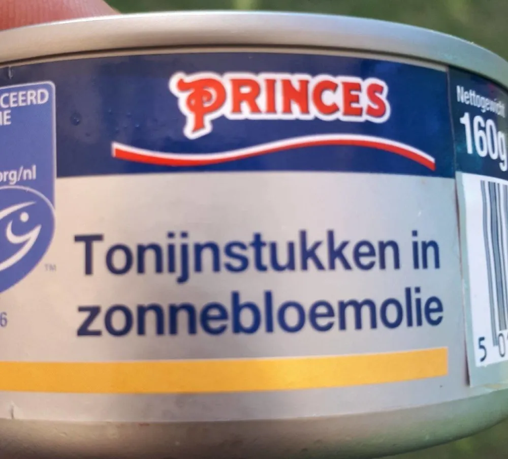 tonijnstukken in zonnebloemolie