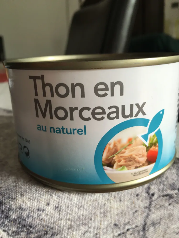 Thon en morceaux au naturel