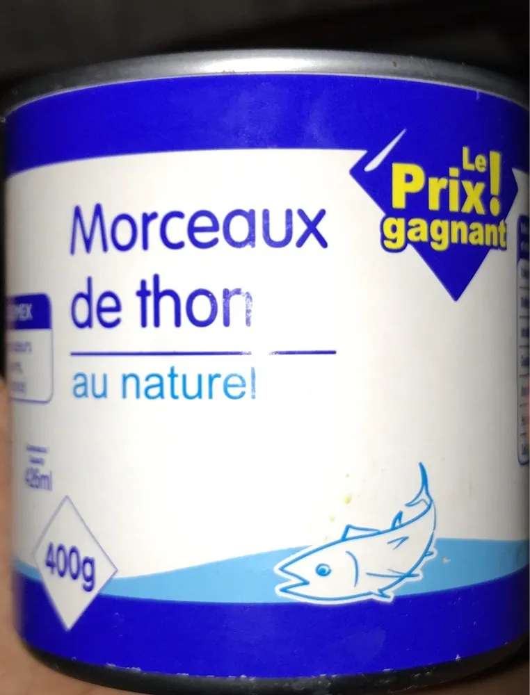 Morceaux de thon