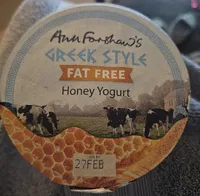 Greek style fat free honey yogurt