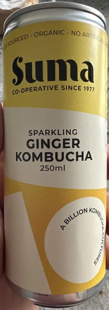 Sparkling Ginger Kombucha