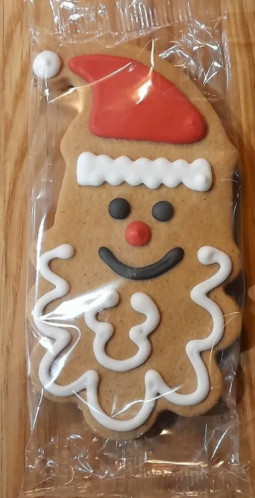 Vegan Santa Gingerbread