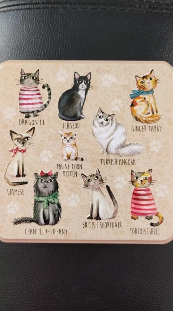 Cats in jumpers tin